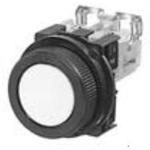Fuji Electric AR30F0R-20Y