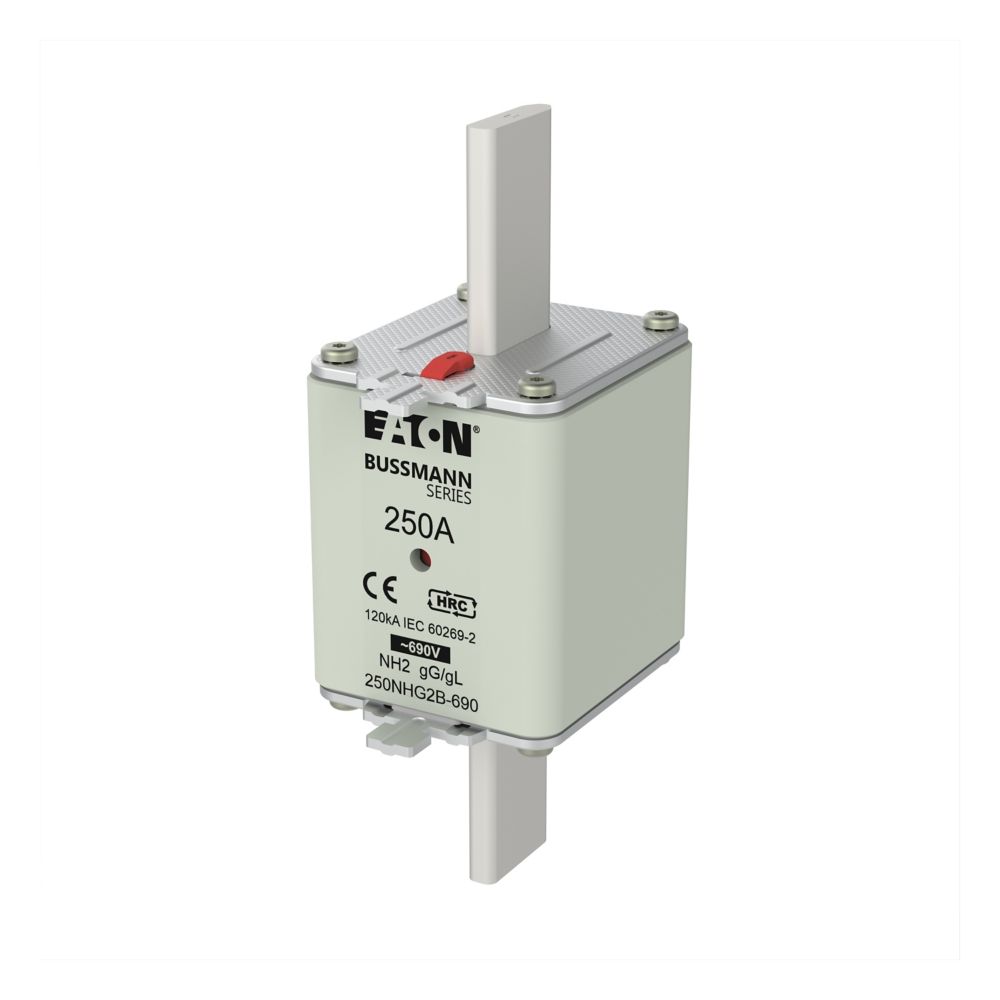BUSSMAN 250NHG2B-690