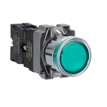 Schneider Electric XB2BW33B1C