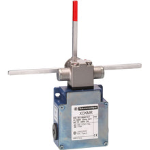 Schneider Electric XCKMR54D2H29