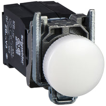 Schneider Electric XB4BV8B1