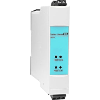 Endress + Hauser RB223