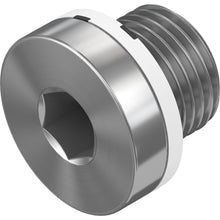 Festo B-1/8-100