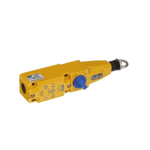 Sick Optic Electronic I110-RP313