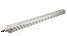 Festo DNC-40-650-PPV-A